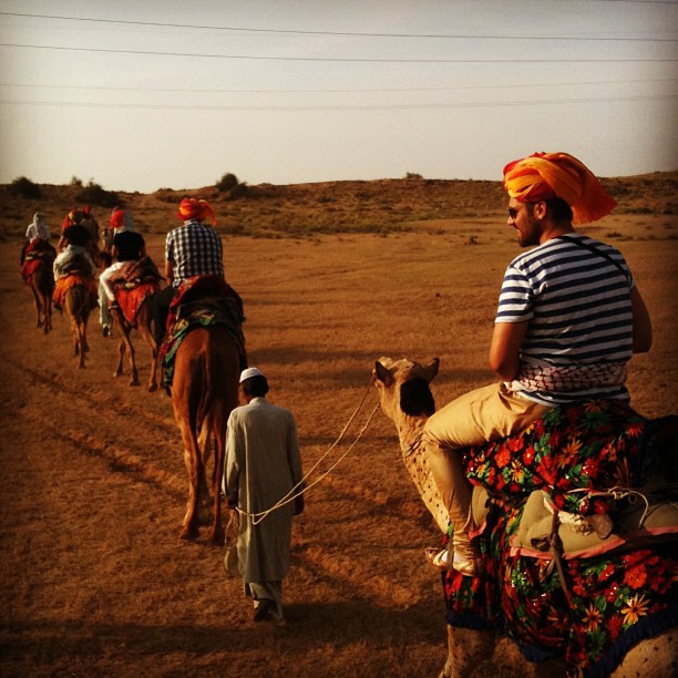 Camels, turbans and … powerlines?